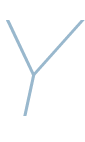 Y